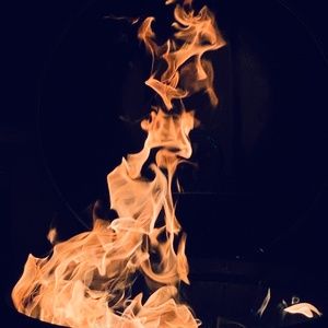 Meet your Posher, Dyan